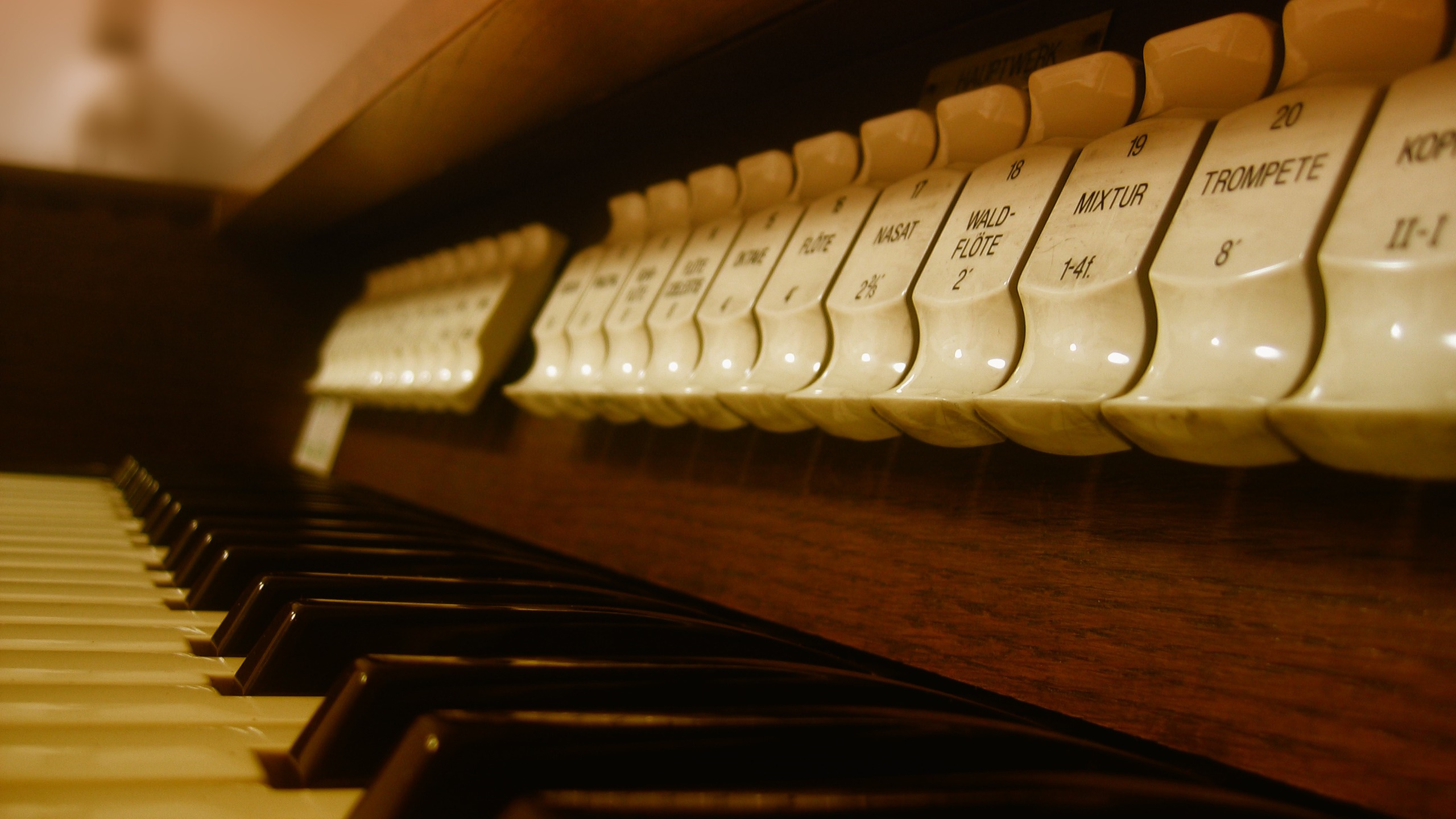 Organ Duo Organ Duo